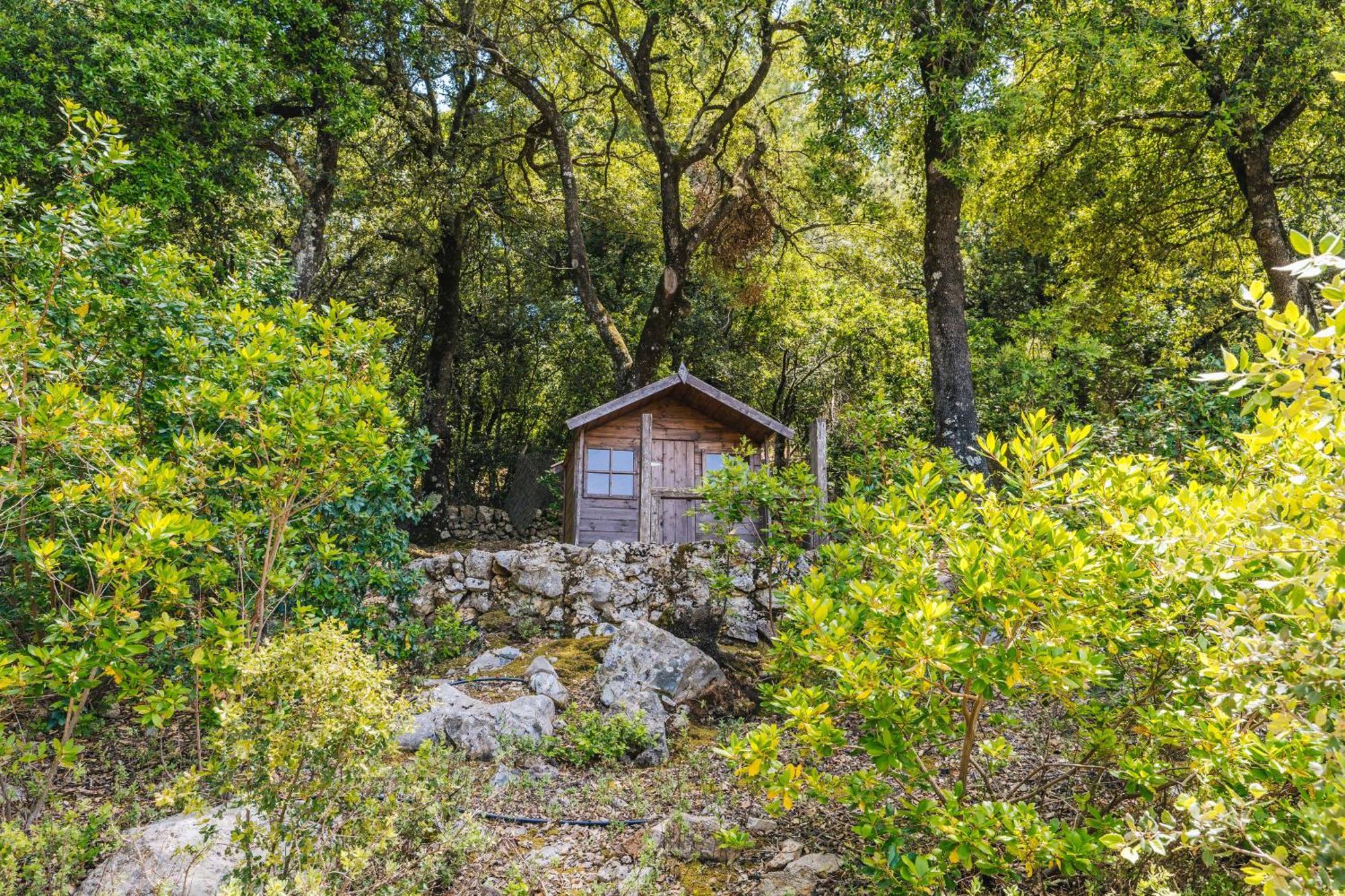 Villa Ca'S Pastor - Chalet De Montana Escorca Exterior foto